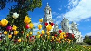 Я  В  МИНУТЫ  ТРУДНЫЕ .  ТРИО  "  ЯБЛОНЬКА "