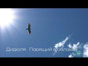 Дидюля ( Парящий в облаках )