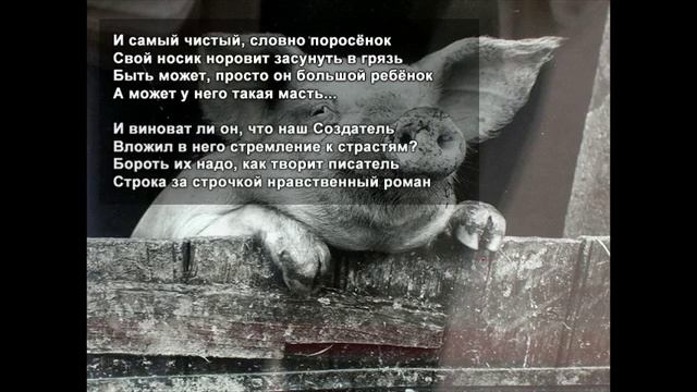 Стихи Черкашин Дмитрий - И самый чистый смотреть онлайн