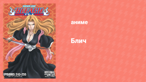 Блич: Дзанпакто: Альтернативная сказка 255 серия (аниме-сериал, 2004)