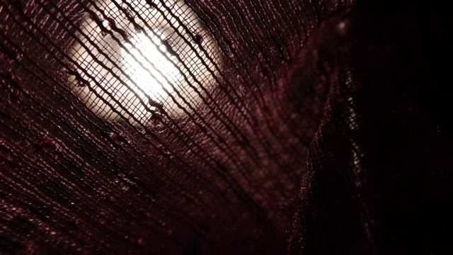 Compact Camera experiments with Nikon S9900 смотреть онлайн