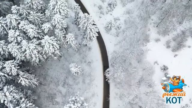 Медвежонок слизывал снежинки с носа сидя на пеньке. Снежинки были сладкие и пушистые. смотреть онлайн