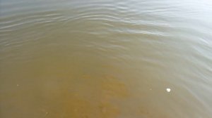 Рыбалка в Астрахани в октябре  , Село Селитренное