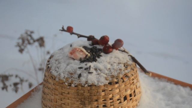Покормите птиц зимой! смотреть онлайн