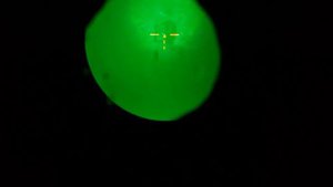 Кабаны через НПЗ ПН2М 20151216 181332