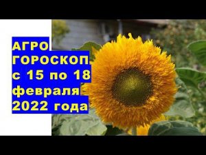 Агрогороскоп с 15 по 18 февраля 2022 года