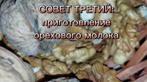 ДРЕВНИЙ ЛЕКАРЬ ОТ ПРОСТУДЫ #ПомогиСебеСам_ГрецкийОрехОтПростуды