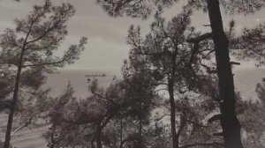 СТАРЫЙ САД .  Алевтина Бердникова.