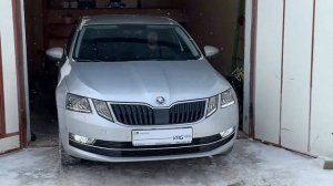 Диодные стробоскопы на Skoda Octavia A7FL 2020