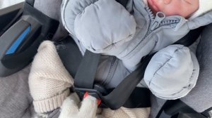 выходные с реборном в деревне/влог с реборном