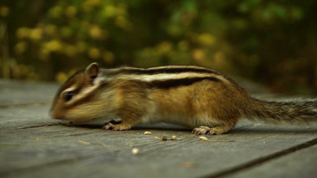 Красоты Забайкальского края. Алханай смотреть онлайн
