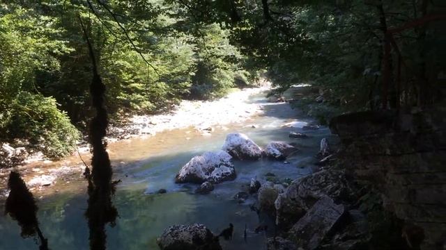 yew boxwood grove of sochi host 4 - тисо-самшитовая роща сочи-хоста 4 смотреть онлайн