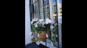 Санкт-Петербург. Сюрпризное видео.