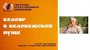 Белояр в Беловежской Пуще