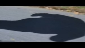 Том Хэнкс. Просто посмотрите