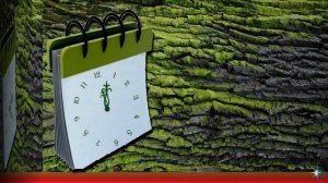 "Как много дней, что выброшены зря" стихи Эльдар Рязанов