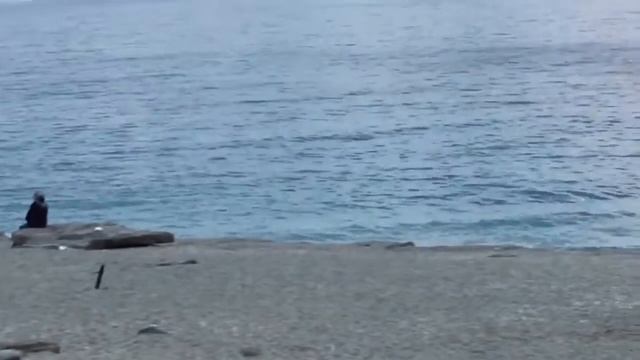 Махмутлар Алания. Место для семейных барбекю там где живут павлины смотреть онлайн