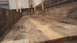 Бизнес.  Разведение червей на стеллажах в подвале.