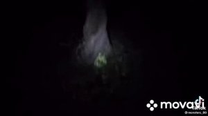 что ты такое