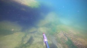 Подводная охота на озере Байкал.#подводнаясъёмка #моехобби #подводнаяохота