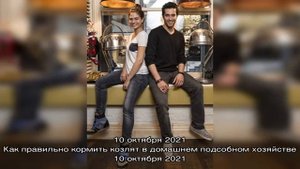 Электропила AL-KO EKI 2200/40: краткий обзор