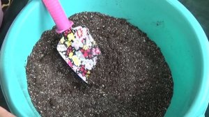 Грунт для фитильного полива (исправленное)