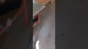 на что способна паркетная пила и фрезеровка заводского стыка на гипсокартоне