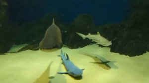 ТОП 5 ЛУЧШИХ МЕСТ КРАСНОДАРСКОГО КРАЯ ДЛЯ ТУРИСТОВ