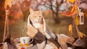 ...И я уйду. А птица будет петь, как пела...