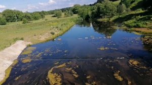 ЕДЕМ В ЯРОСЛАВЫ НА РЕЧКУ ВЯЗОВНЯ??