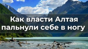 Как власти Алтая пальнули себе в ногу