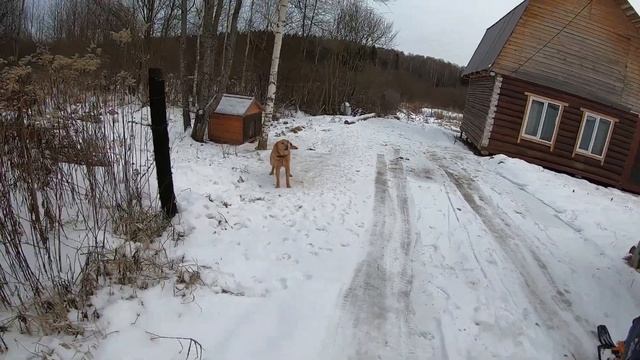 ЭЭЭхххх прокачусь! Уроки смелости! Смотреть строго до 14 лет! Лесная горка, Тимонуха! смотреть онлайн