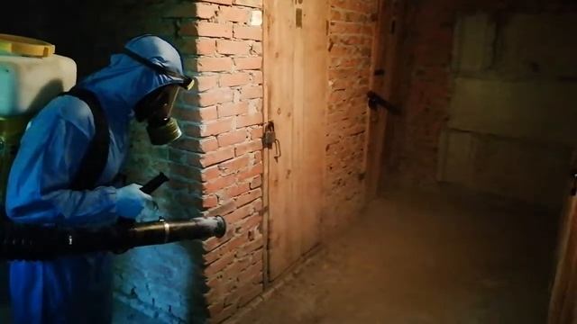 Дезинфекция подвала общежития специализированным центром Чикой-Сервис смотреть онлайн