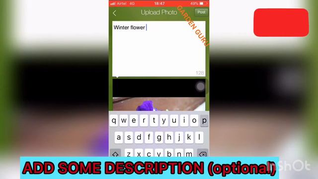 Identify plant by its photo with proof смотреть онлайн