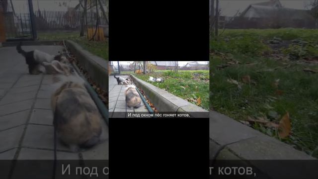 все песенки канала "А ну-ка давай- ка"