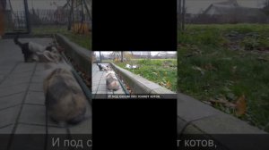 все песенки канала "А ну-ка давай- ка"