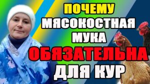 Почему МЯСОКОСТНАЯ МУКА обязательна в рационе кур несушек.