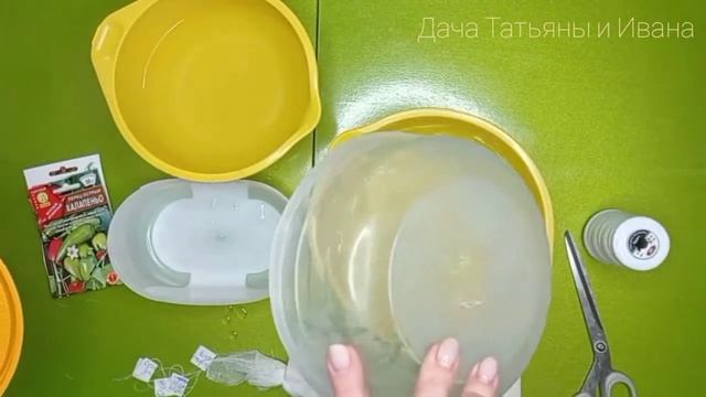 Шок-терапия для перца. Будильник для семян. Рассада перца