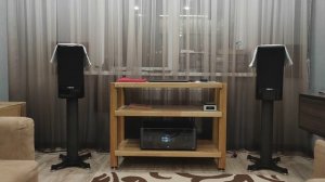 Dynaudio contour 20i + MICHI X5 ( видео 11)