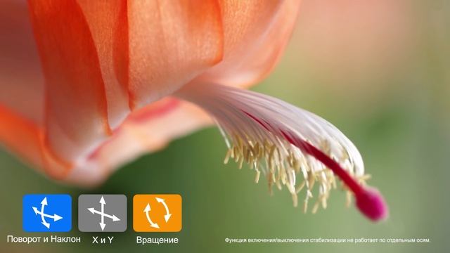 Система стабилизации камеры Sony α7 II смотреть онлайн