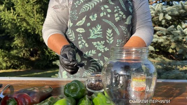 МАРИНОВАННЫЙ ПЕРЕЦ НА ЗИМУ! Простой, быстрый рецепт перца на зиму. смотреть онлайн