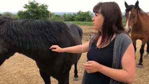 Советы эксперта: как правильно ухаживать за лошадьми