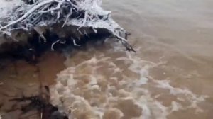 Ловим рыбу на Оби ( Сургут )