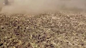 Демонстрационный заезд Форвард ДЛ-620