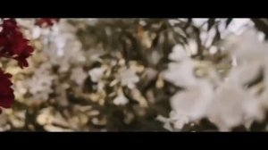 Песня: Кареглазая моя.( сл.О.Сярова. муз,вокал: В.Ортман.)