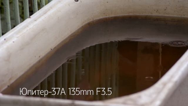 Перед дождем смотреть онлайн