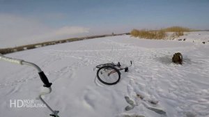 Ловля окуня на искусственного мотыля. Поиск рыбы с помощью CALYPSO.