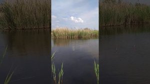 рыбалка Крым, Сакский район село Ивановка.