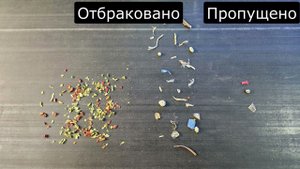 Тестовая сортировка сушеных овощей