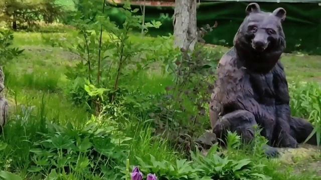 #прогулка ПРИЯТНАЯ МАЙСКАЯ ПРОГУЛКА(28.05.22г.). смотреть онлайн